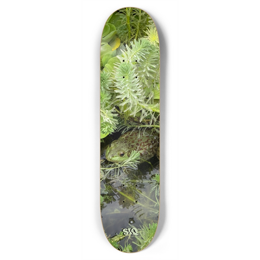 Frog Deck